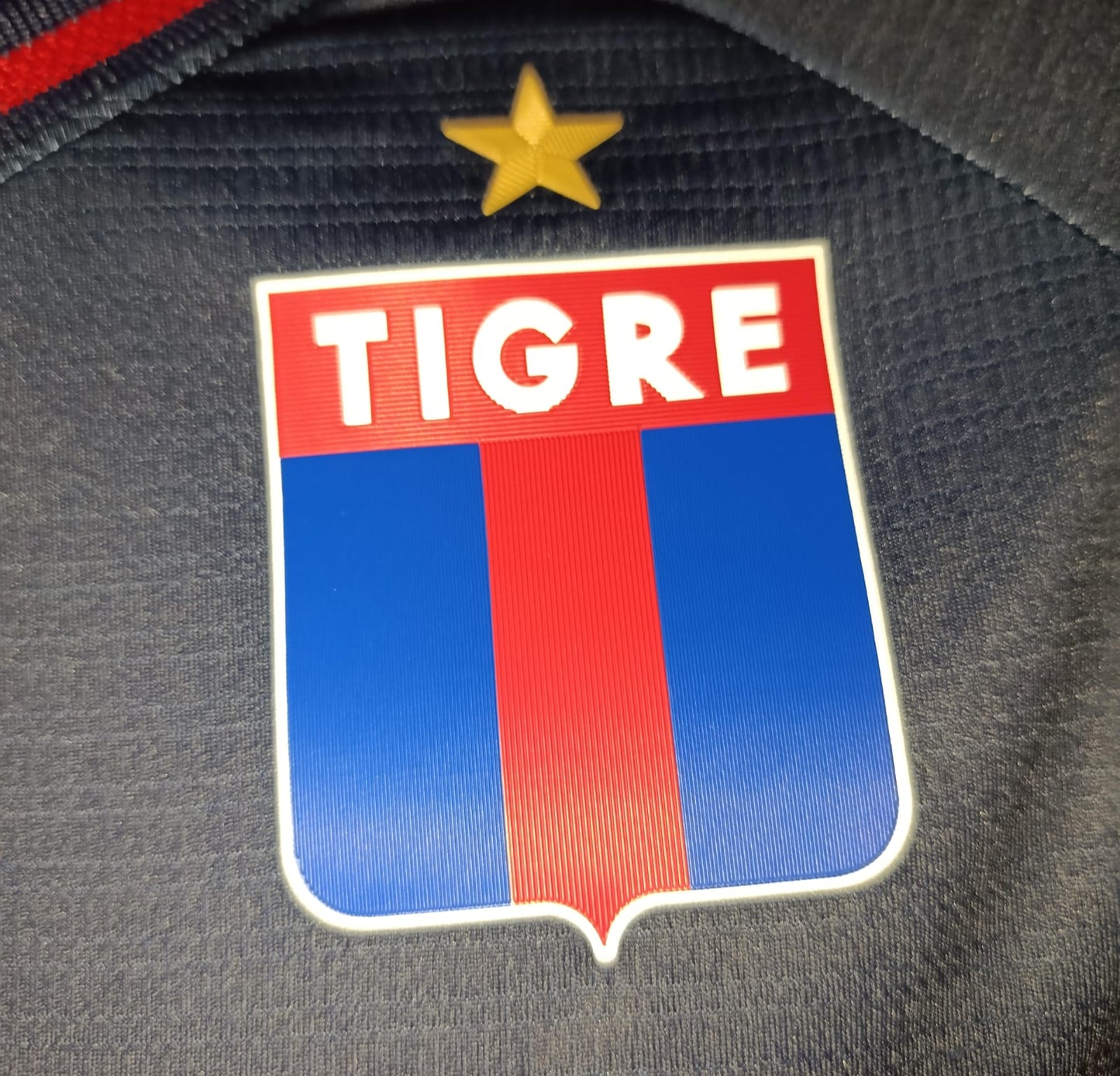 JERSEY TIGRES VISITA 2024